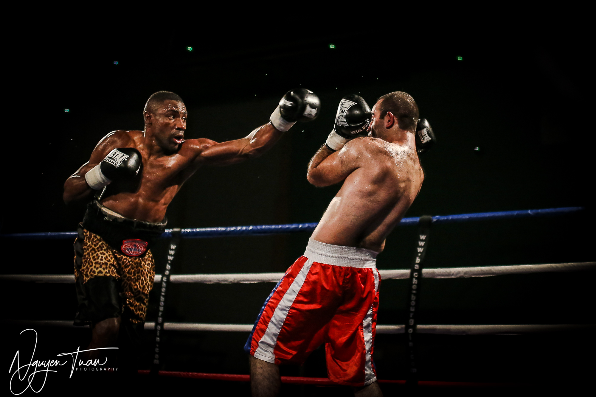 Gala Boxe  24112018   4426